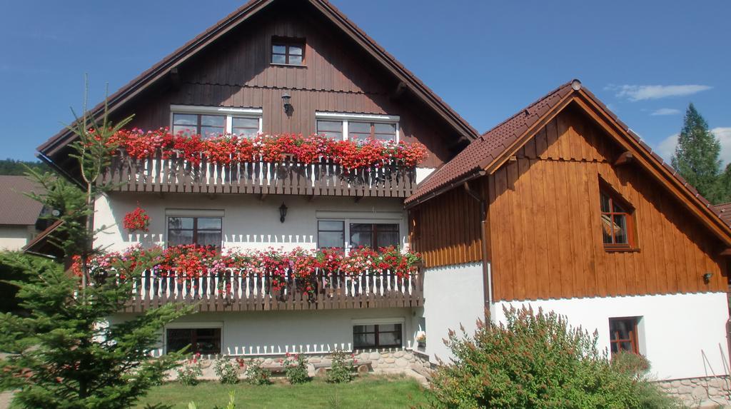 Apartmány Votočkovi Rokytnice nad Jizerou Esterno foto