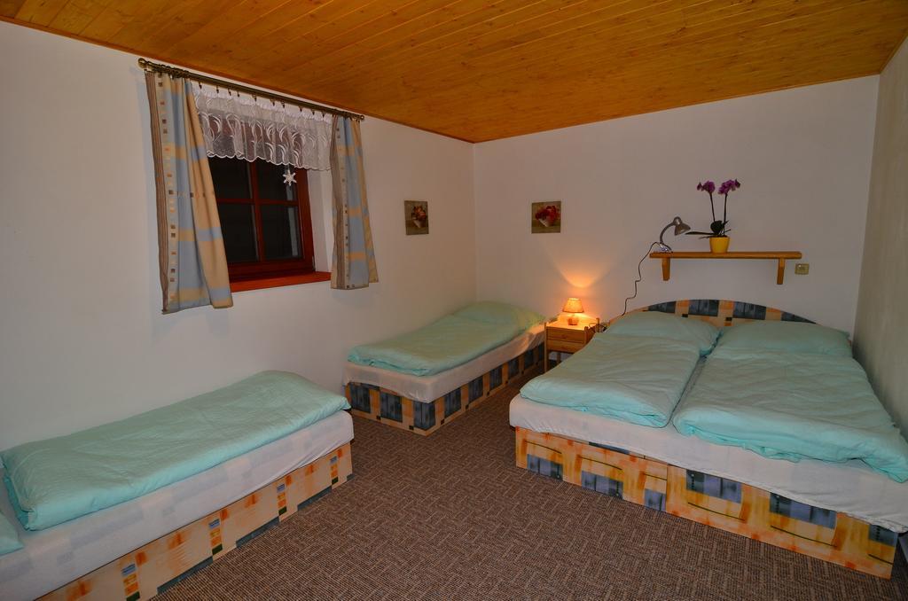 Apartmány Votočkovi Rokytnice nad Jizerou Camera foto